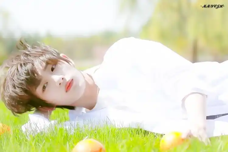 丁程鑫 - 堆糖,美图壁纸兴趣社区