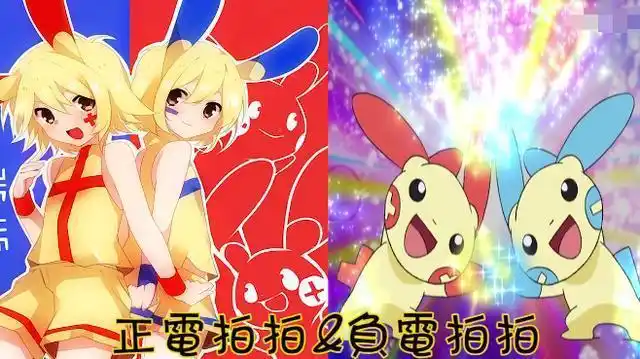 拍拍和负电拍拍雷精灵是神奇宝贝中最可爱的精灵伊布其中的一个进化型