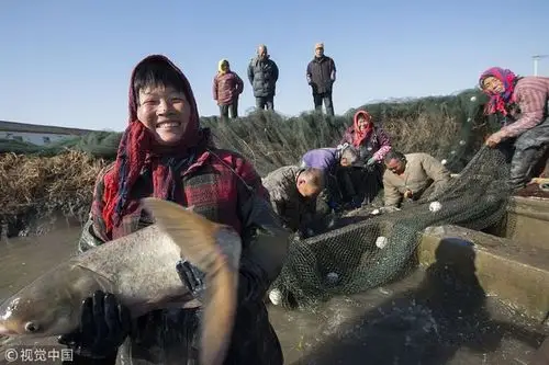 江苏南通渔民尽享丰收喜悦