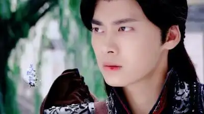 风晴雪百里屠苏