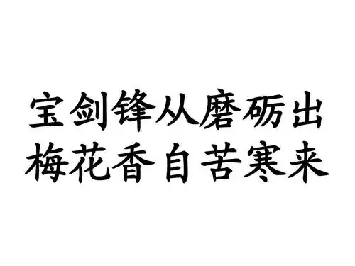 宝剑锋从磨砺出 梅花香自苦寒来