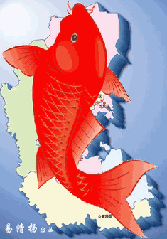 248_355竖版 竖屏gif 动态图 动图