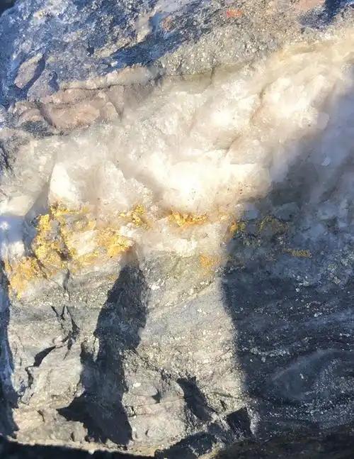 【金】西澳狗头金新发现矿脉突破200米,助推公司股价两周上涨10倍