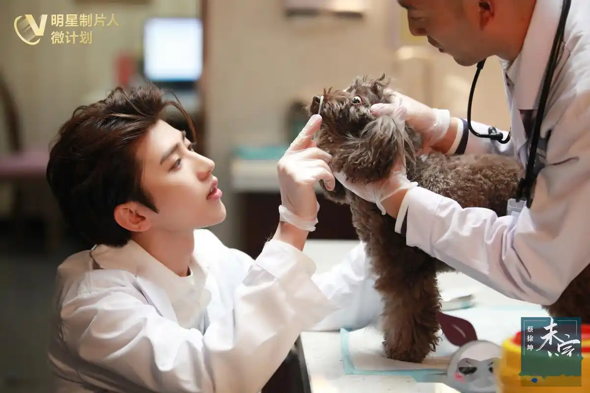 蔡徐坤轻声细语,温柔抚慰,彼此依靠.