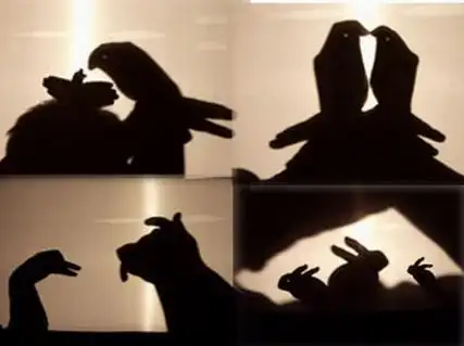 0805图片_百度百科