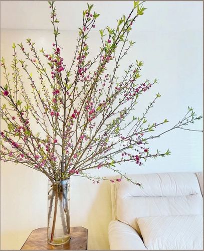 新鲜桃花枝干枝桃花重瓣泡水开花素心梅寸寸金连翘腊梅红梅花雪柳