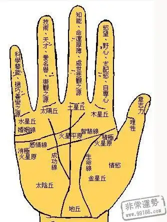 会出轨的手相怎么看