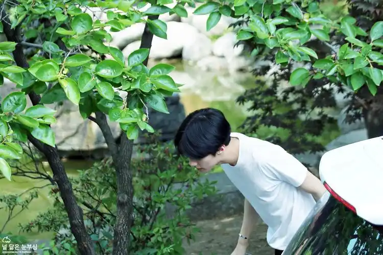 吴世勋 cr.logo - 堆糖,美图壁纸兴趣社区