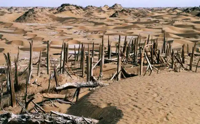 新疆阿尔金山与青海,西藏交界,有着比金子还灿烂夺目的财富?