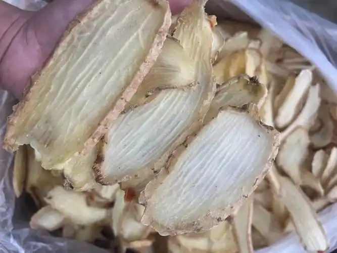 顶级特大号天麻切片