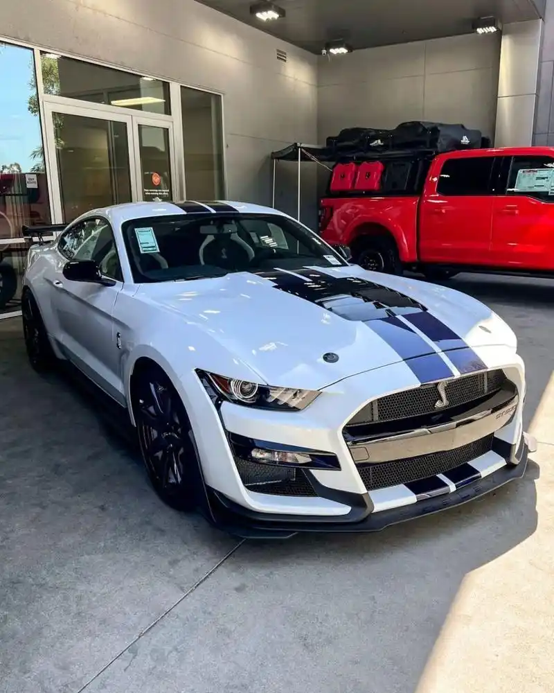 野马谢尔比shelby gt500