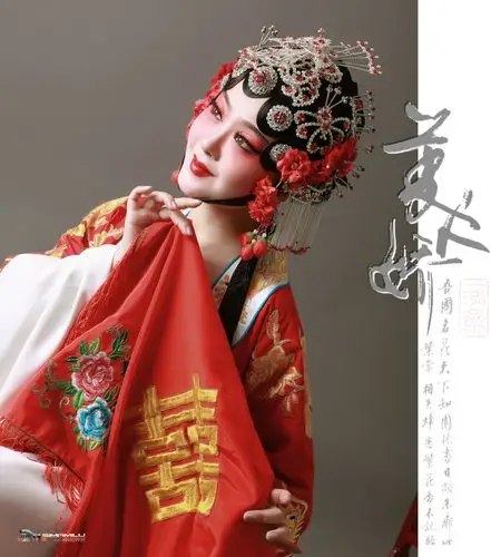 《中国光影名人堂》的《戏曲人像摄影》-司马迷路aa专辑