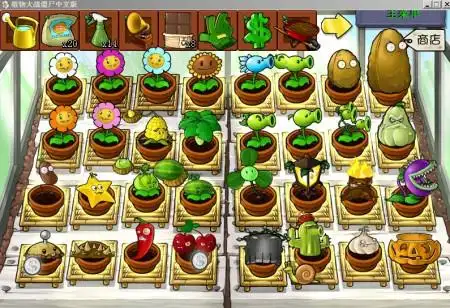 求植物大战僵尸的完美存档