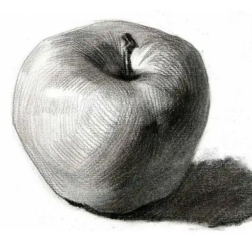 立体感非常强的水果蔬菜素描静物图片