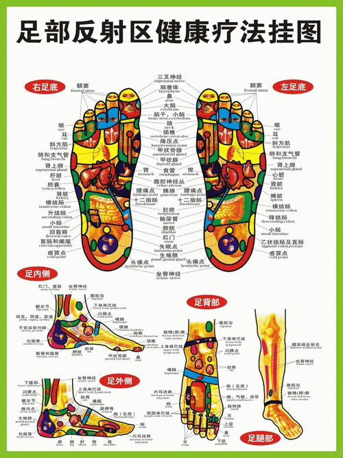 足部反射区挂图 足部反射区图 足疗店挂图 1x0.75米 包邮