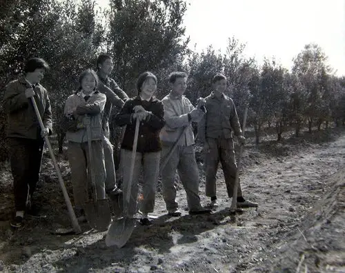 国庆献礼知识青年上山下乡四十周年纪念