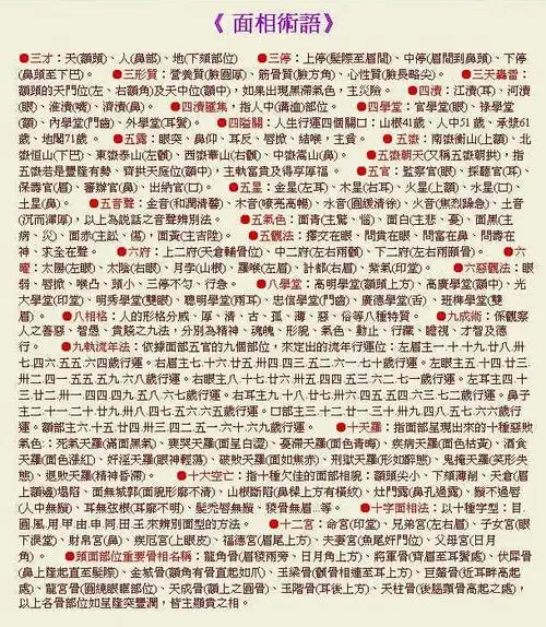 成涛面相面相术语