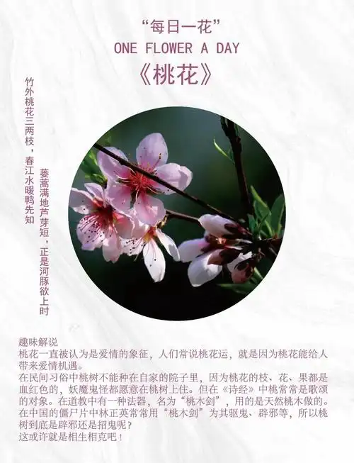 桃花:爱情与辟邪的双重魅力