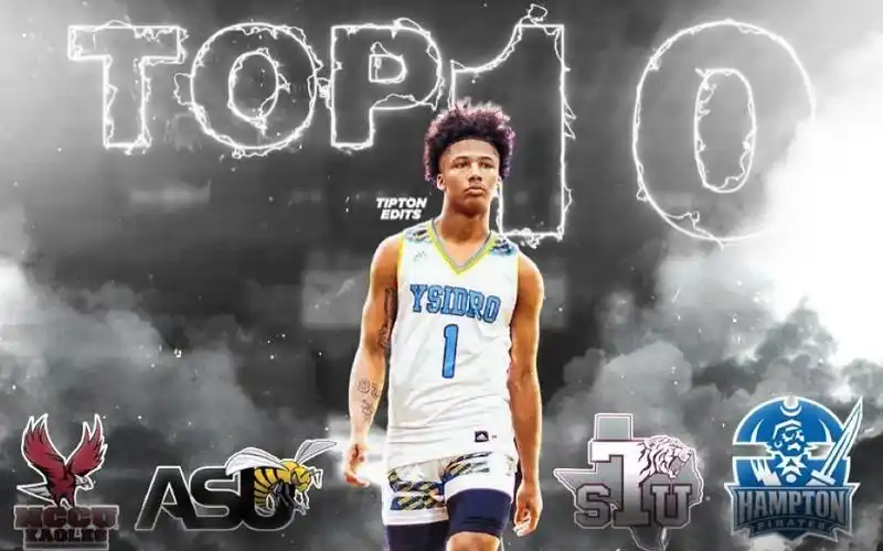 活动作品全美第五米奇威廉姆斯到底什么水平