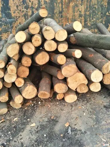 荷木原木和板材料