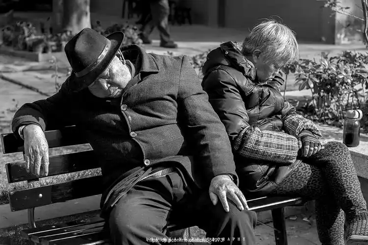 镜头下的人生百态