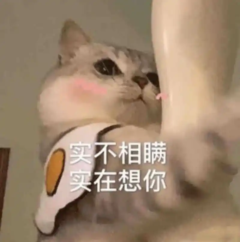 聊天必备搞笑表情包,情侣夫妻专用