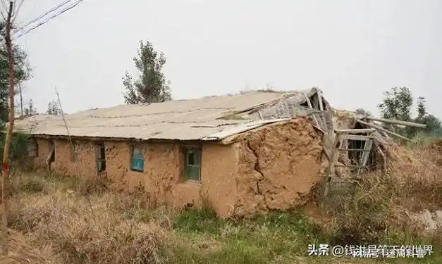 青海小苏丽3岁被针线缝嘴5岁被虐死7年后又遭生母掘坟