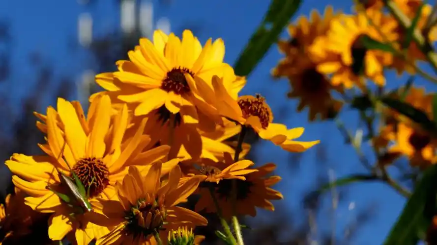 别去想对谁有依赖感,他在挺好,他走了仍然吃得香睡得好.