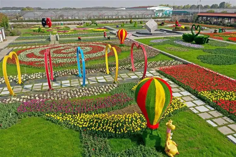 武汉市东西湖郁金香主题公园明日开园