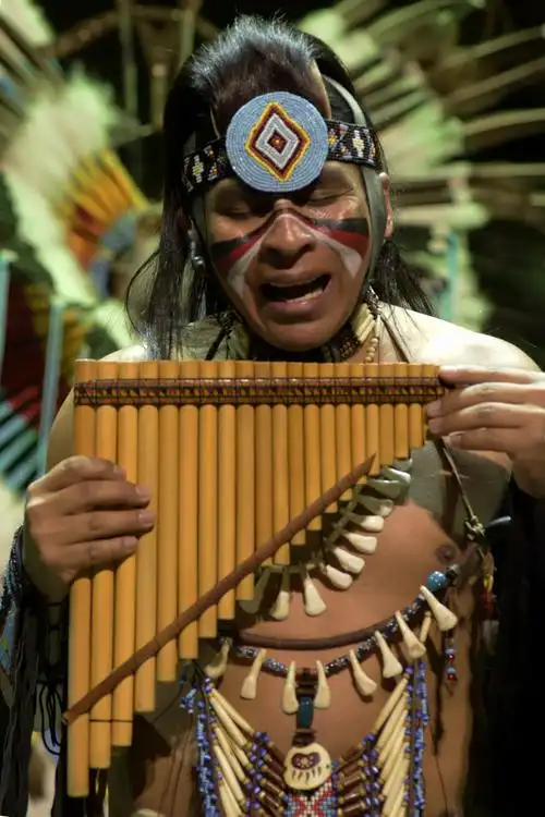 最后的莫西干人