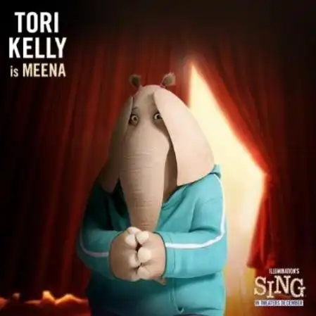 看《欢乐好声音》随想