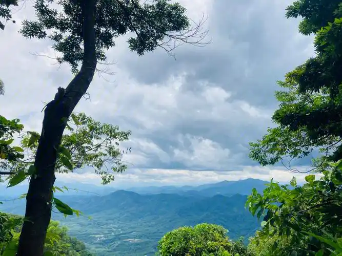 琼中黎母山森林公园之行