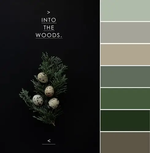 【拾一缕色,慰一季阳光】----莫兰迪色系色卡