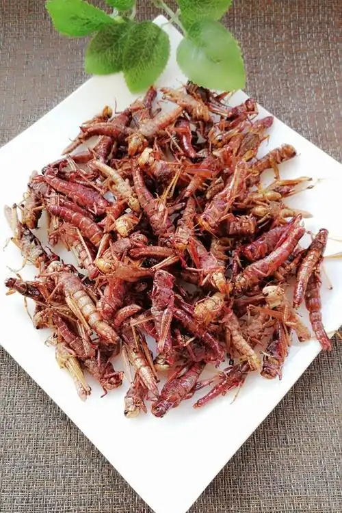 【炸蚂蚱图片】春风拂过_下厨房