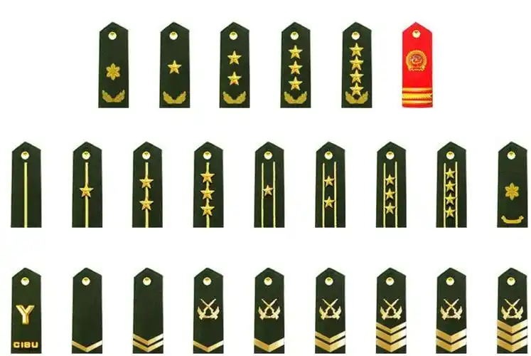 1,"55式"军衔大校肩章军衔肩章陆军大校军衔主要标识为,金黄色肩章两