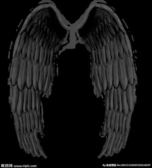 黑色翅膀图片