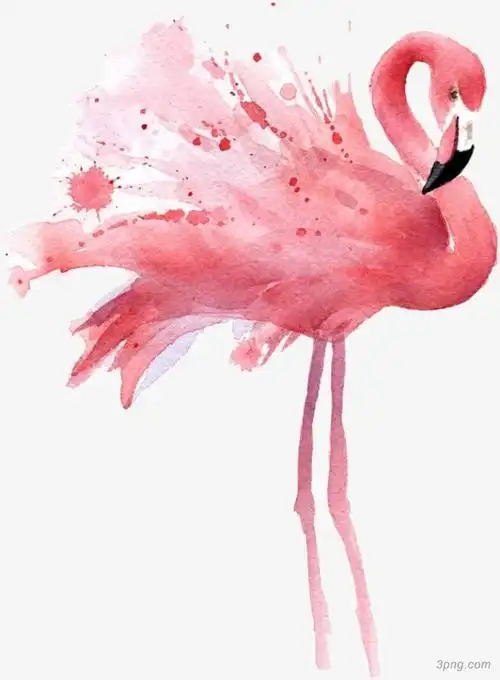 水彩粉红色火烈鸟png素材透明免抠图片-卡通手绘