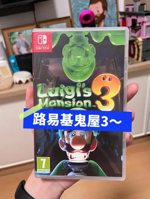 switch游戏分享2路易基鬼屋