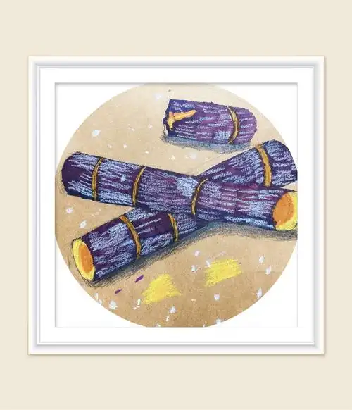 静物写生 创意技法——甘蔗写生