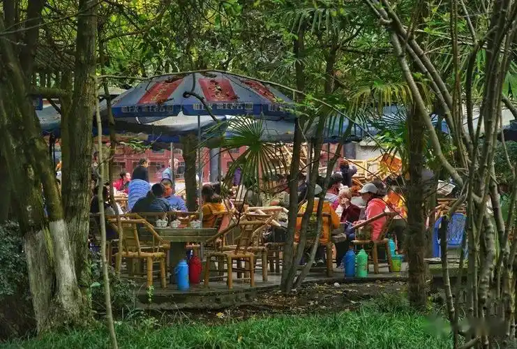 掏耳朵,体验成都市井文化,品味悠闲惬意慢生活