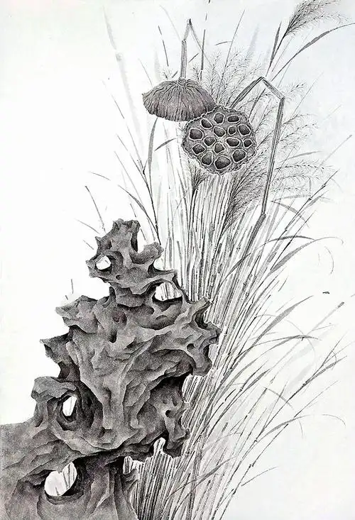 现代三联朴实无华黑白芦苇装饰画素材下载莲子装饰画 a