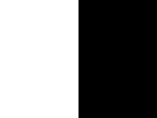 怎么制作一样大的一半黑一半白和一半白一半黑的两张图片左右黑白精确