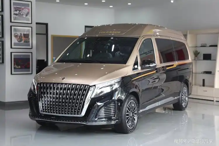 维努斯 黑金 宜商宜家百万级商务车