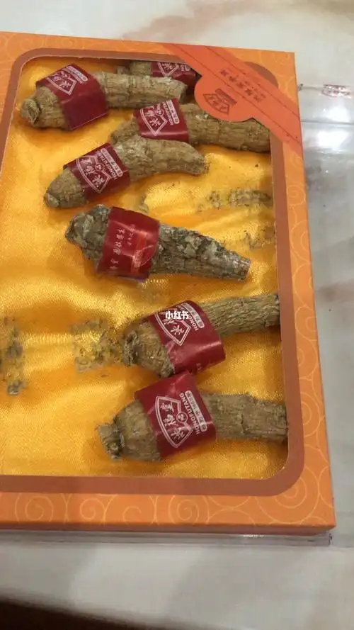 发霉了的西洋参