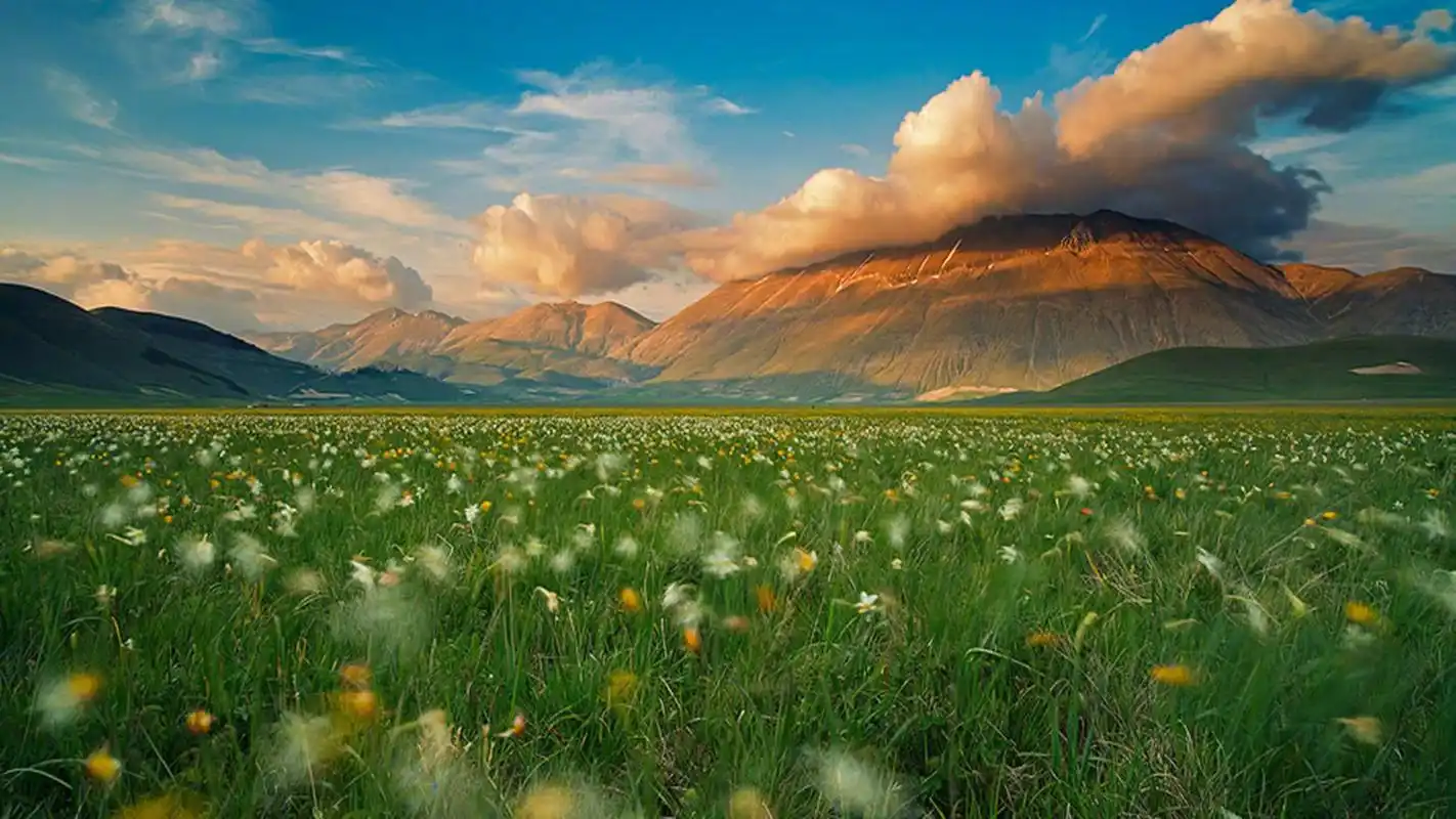 绿色护眼自然风光美景桌面壁纸,绚丽美景,大自然的鬼斧神工,引人入胜
