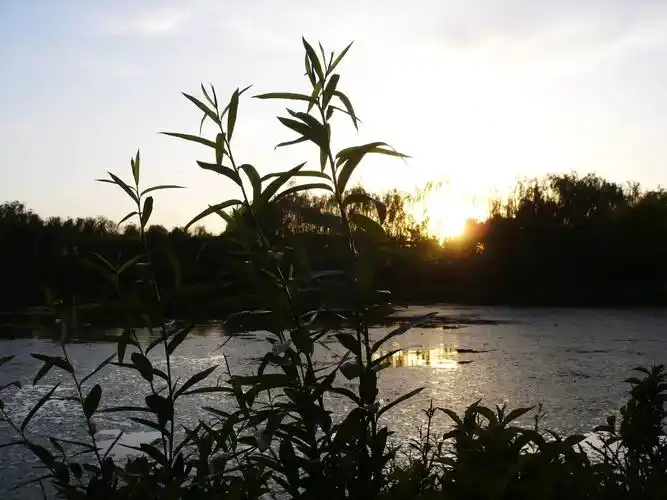 【图片7】生活中身边的风景一样美.--蜂鸟论坛照片套图