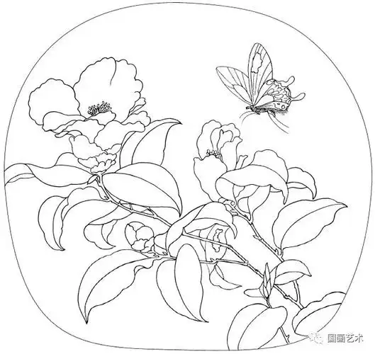 书画联盟丨宋画花鸟精品白描欣赏