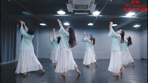 梁祝扇舞演出服晚风古典舞服装成人身韵服纱衣现代舞练功服飘逸女