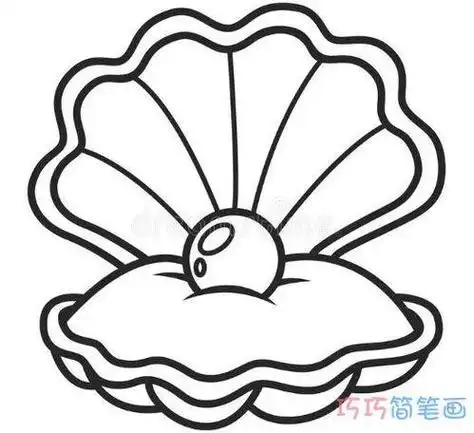 两层的贝壳简笔画