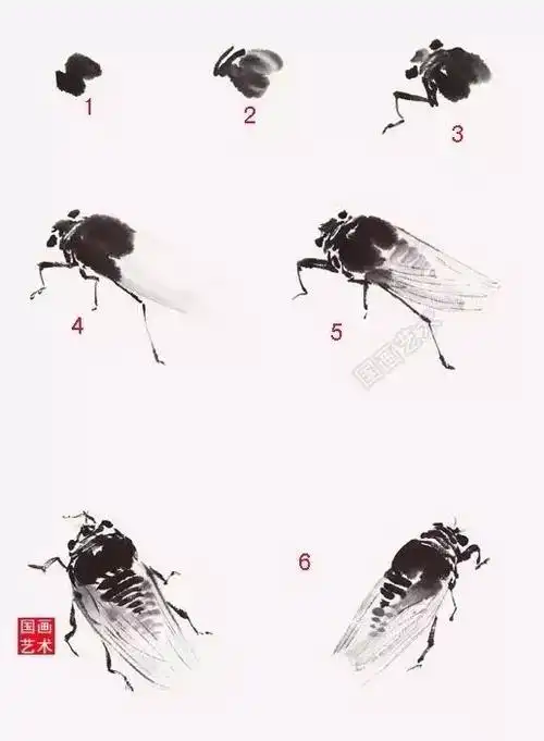 6.不同姿态的蝉的画法